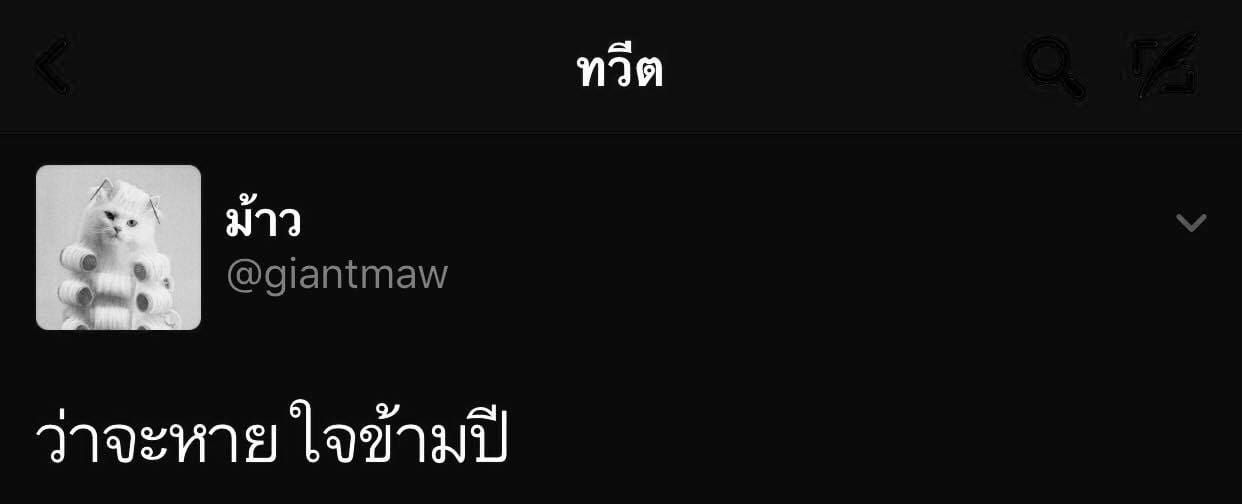 แคปชั่นความรัก