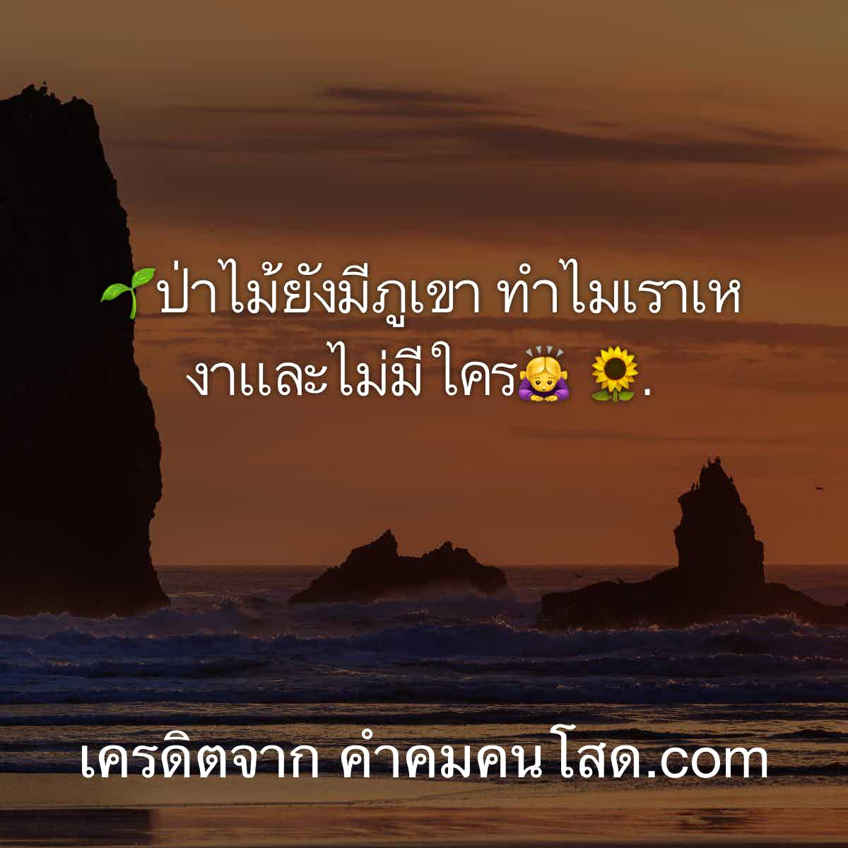 เเคปชั่นกวนตีน