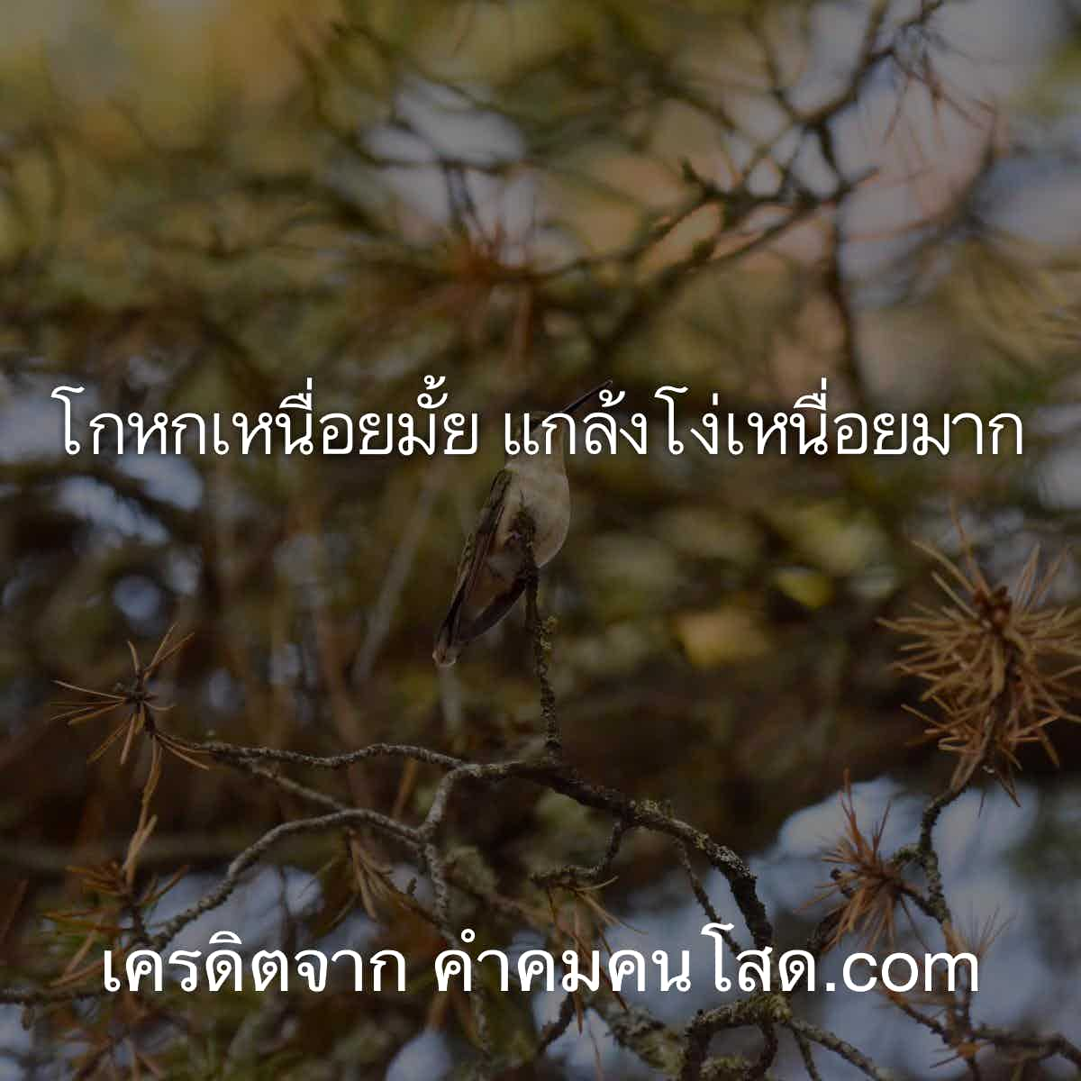 คำคมแอบชอบ