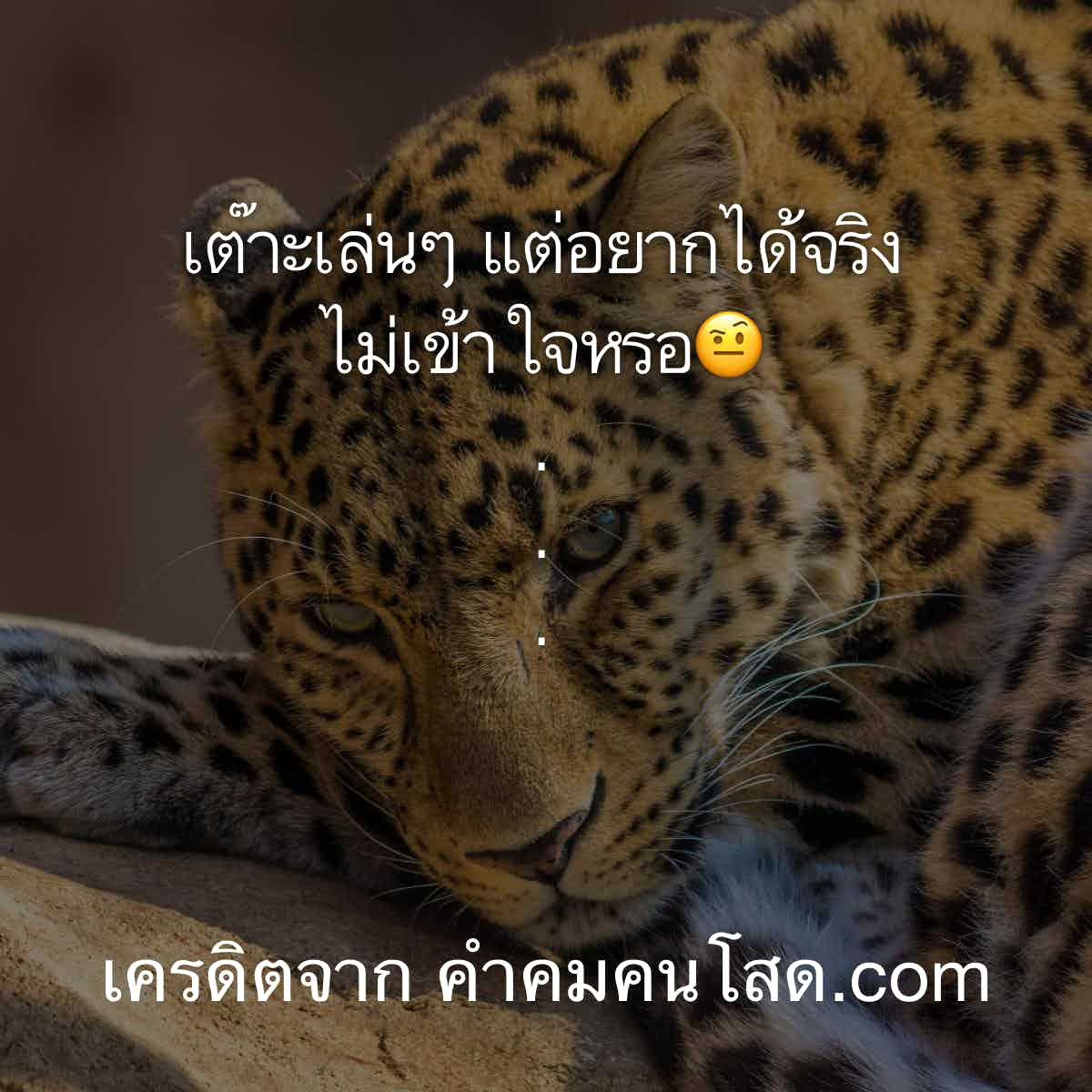 คําคมกวนๆ