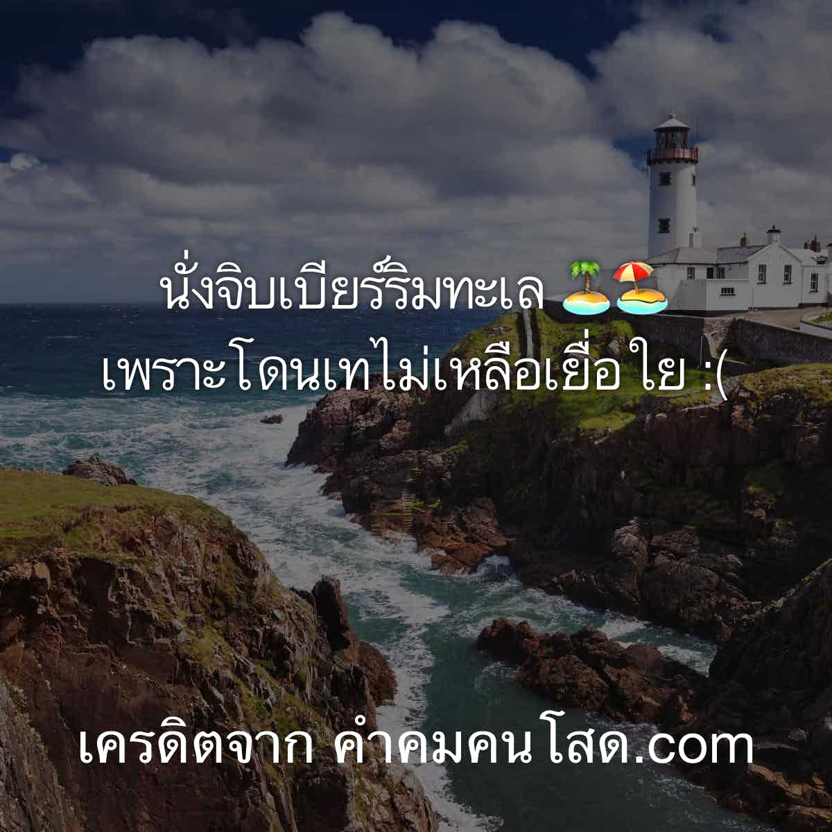 เเคปชั่น2019