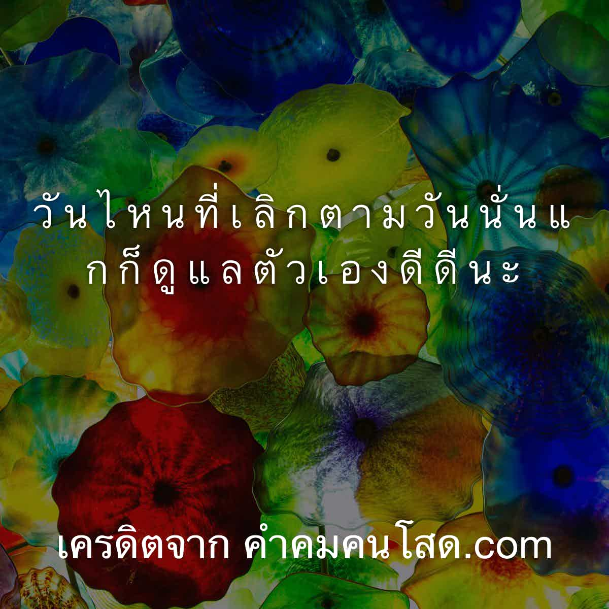 คําคมความรู้สึก