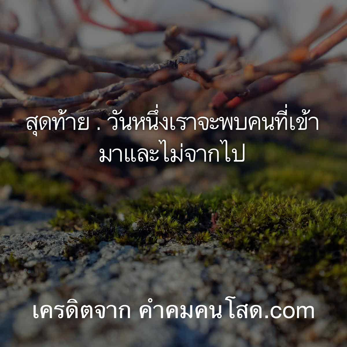 คำคมความรัก