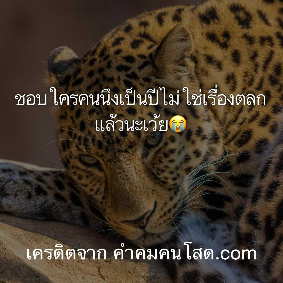 เพ้อให้พอ