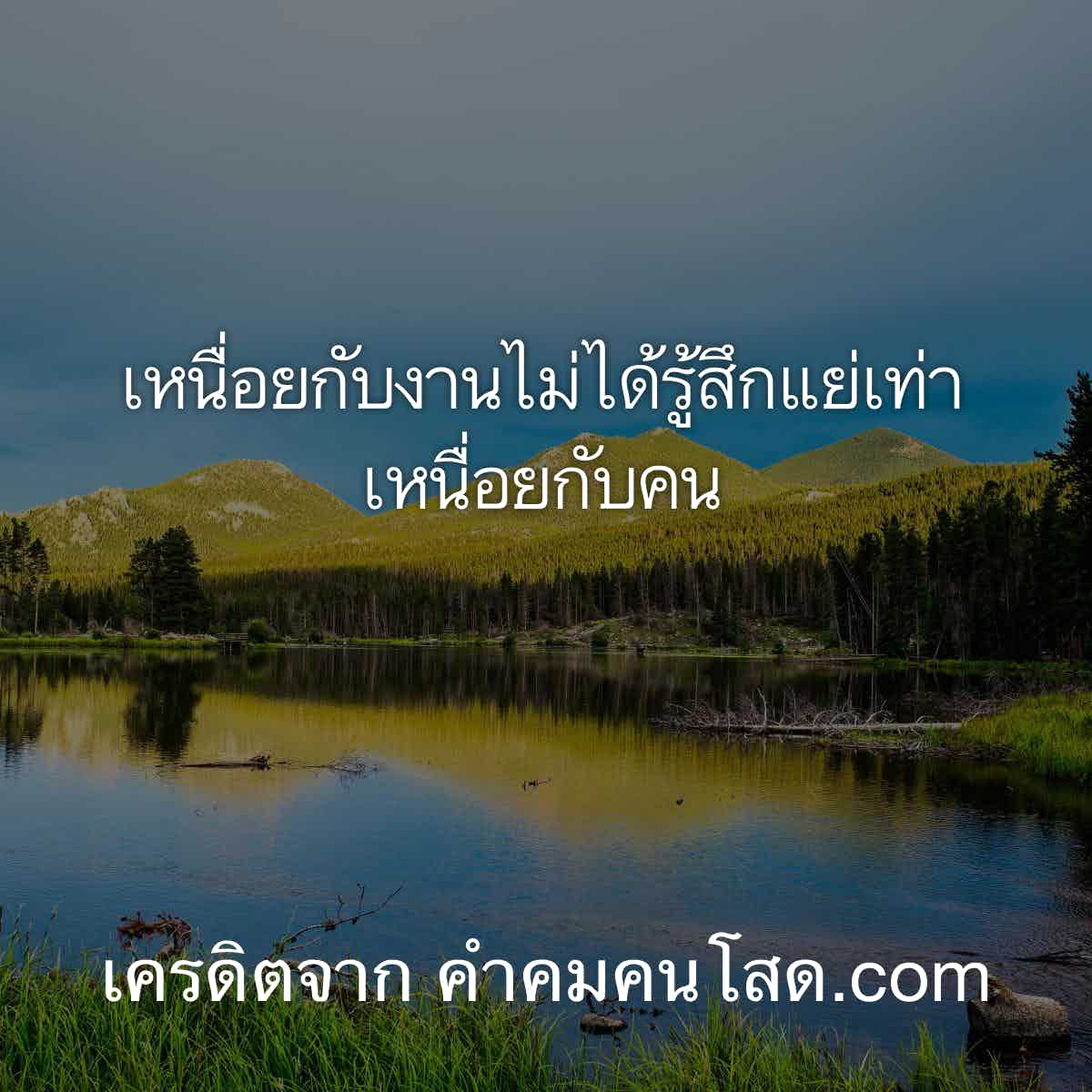 คําคมชีวิต