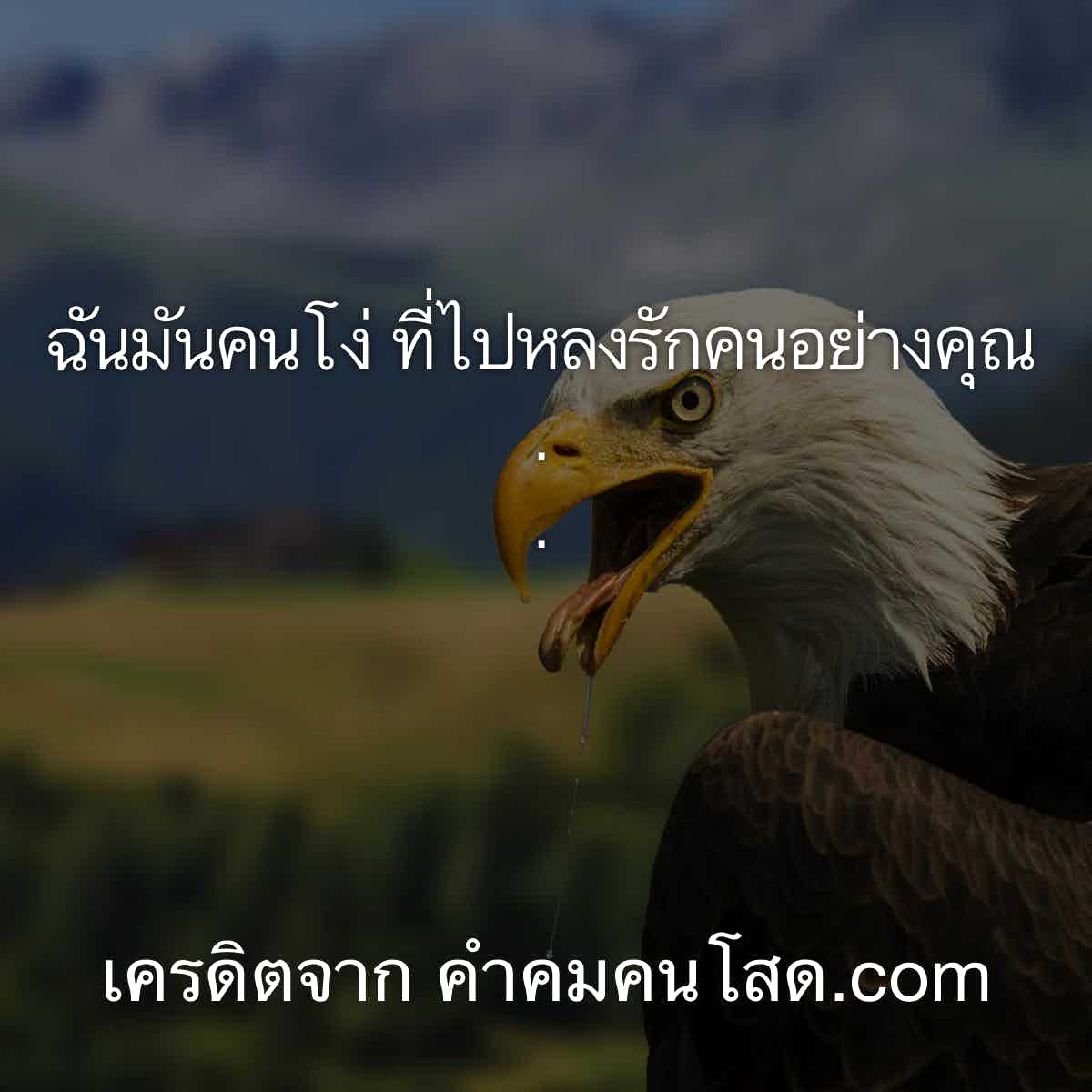 คำคมภาษาอังกฤษ