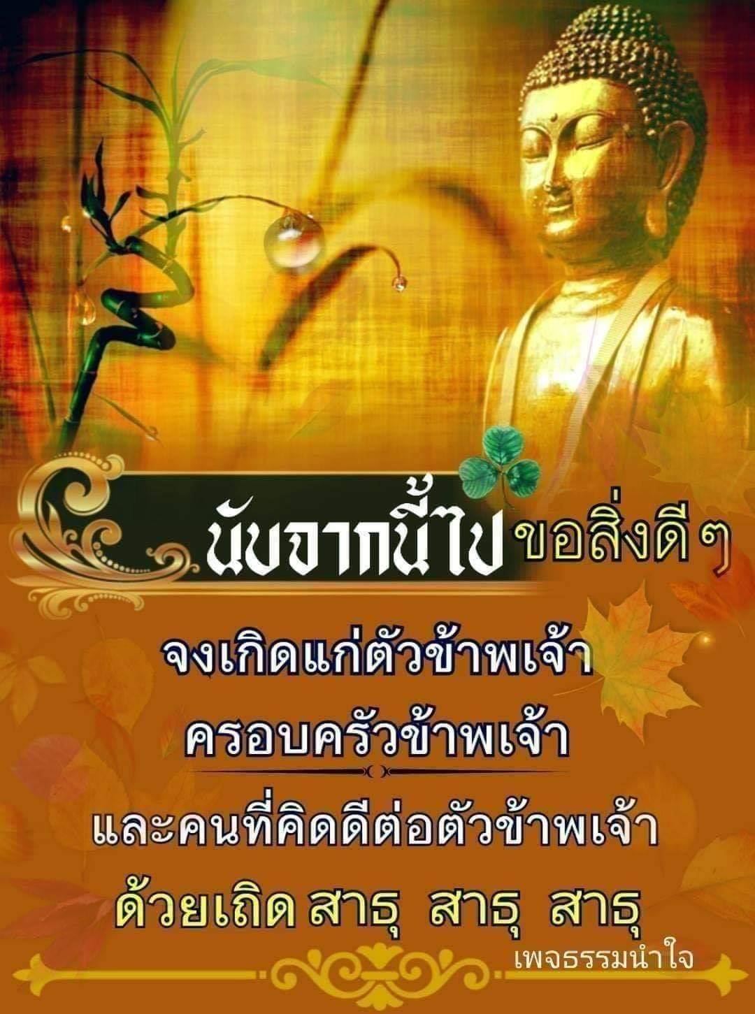 กะเทยโคราช