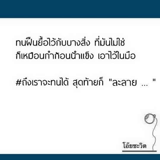 คําคมคนโสด