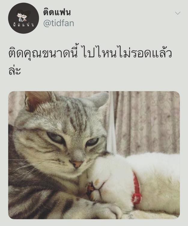 คําคมโดนๆ