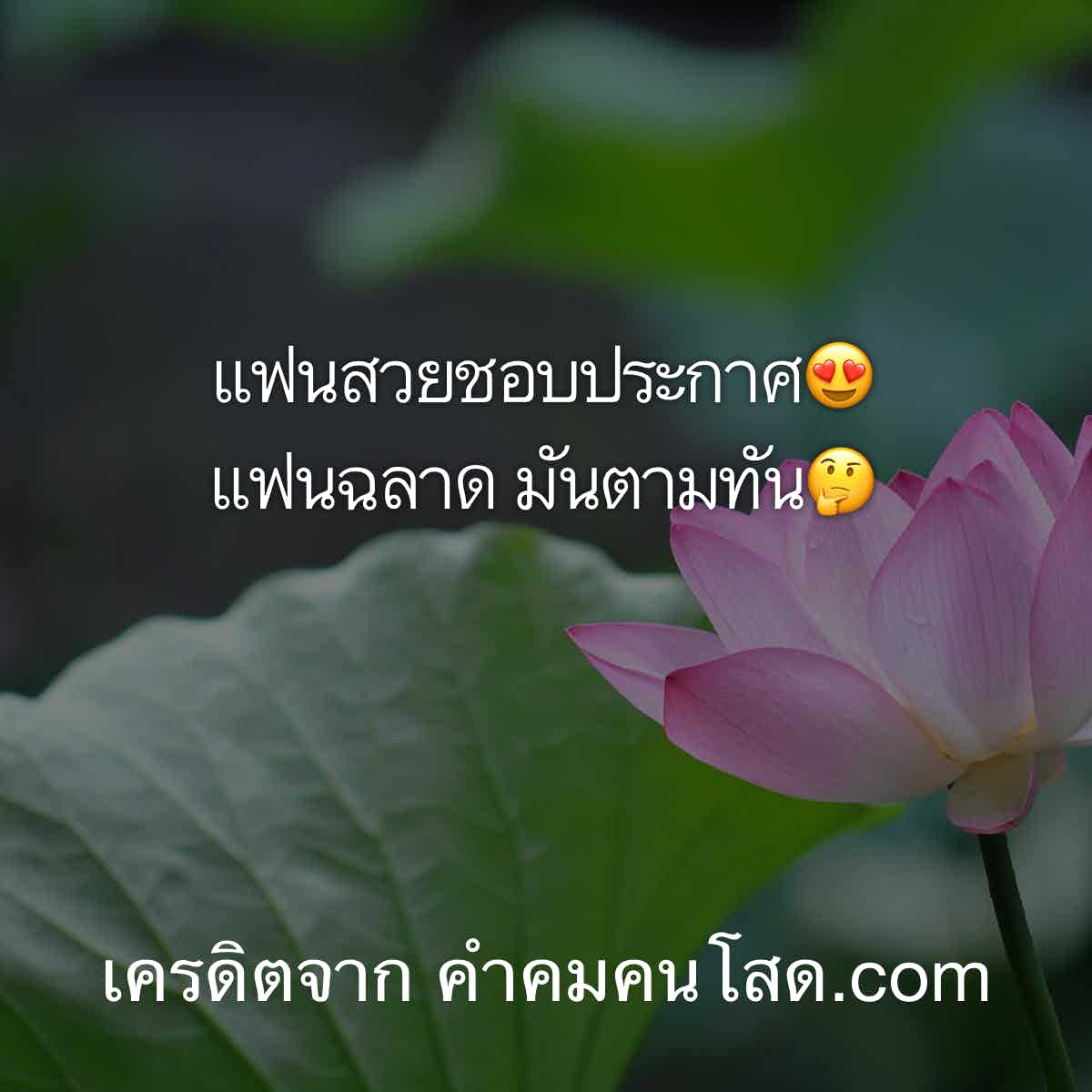 คําคมกวนๆ