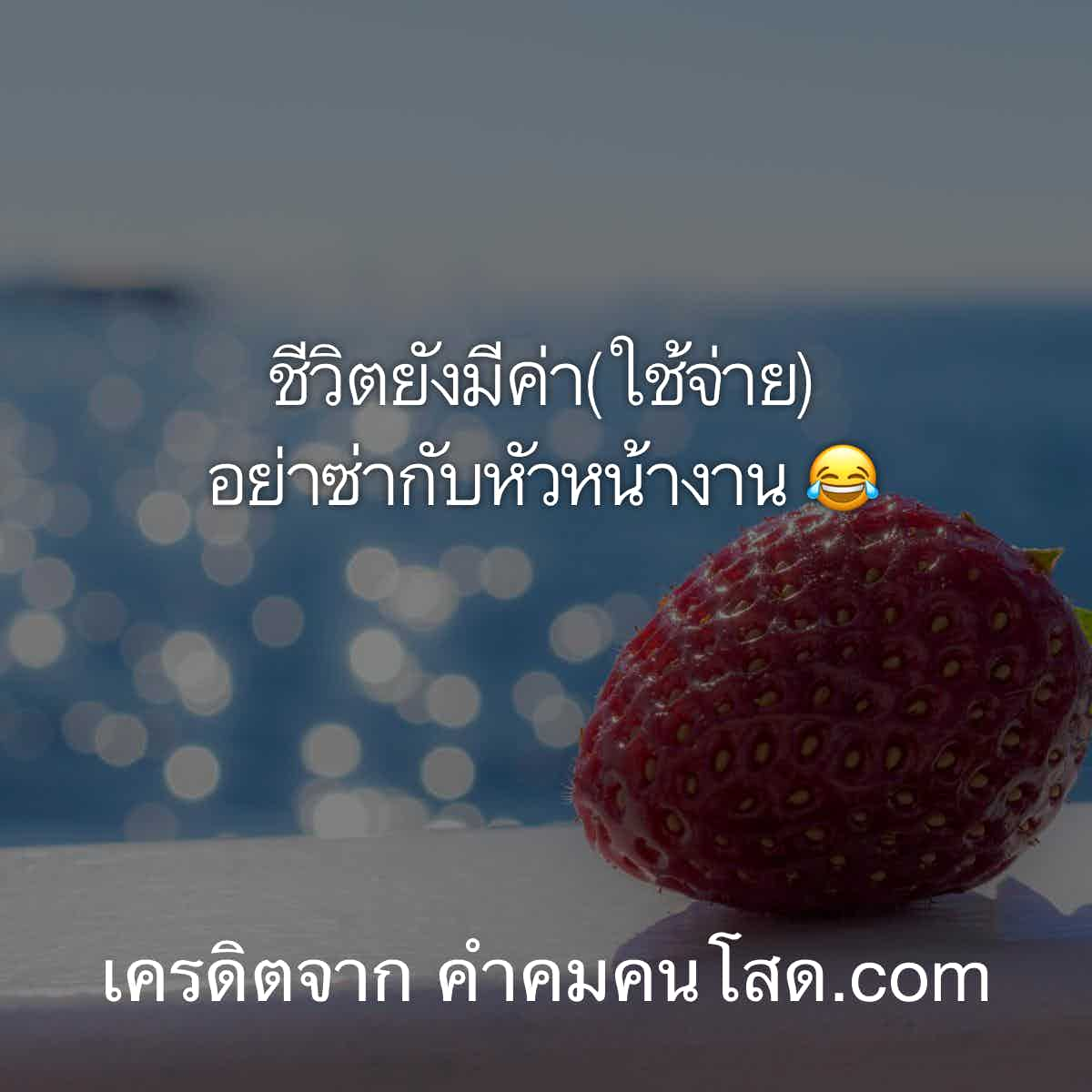 คําคมคนทํางาน