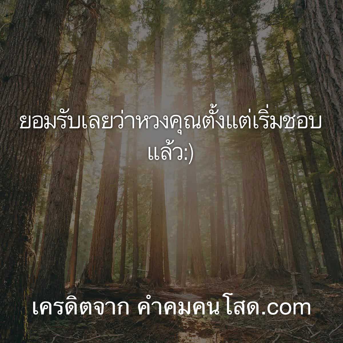 rtฟรีฟอล