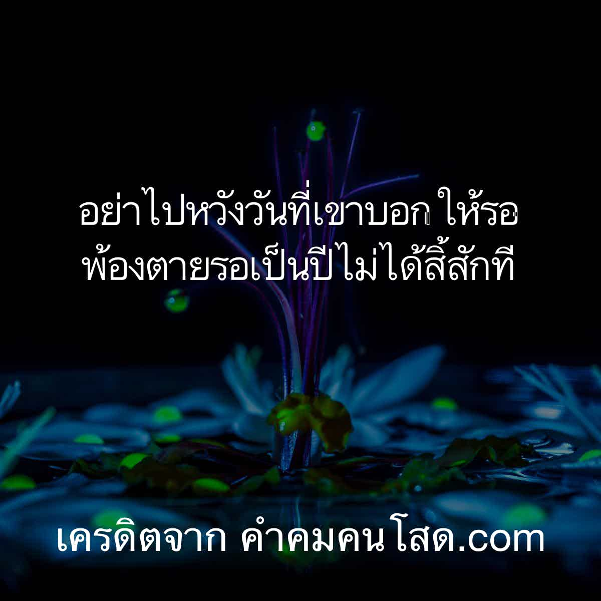 คําคมกวนๆ