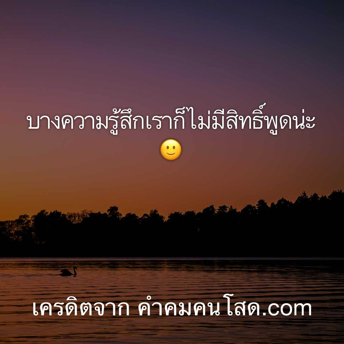 เหงา