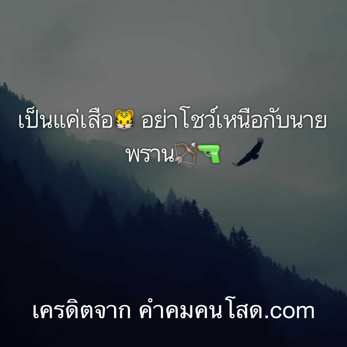 คำคมในวงเหล้า