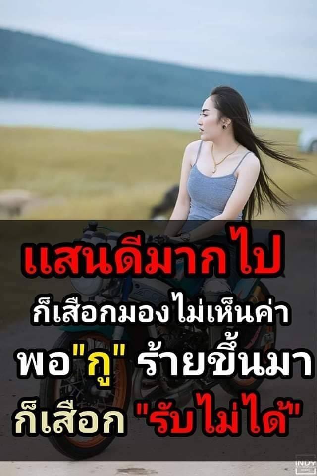 rtฟรีฟอล