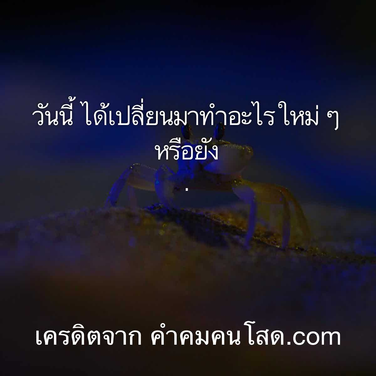 คําคมความรัก